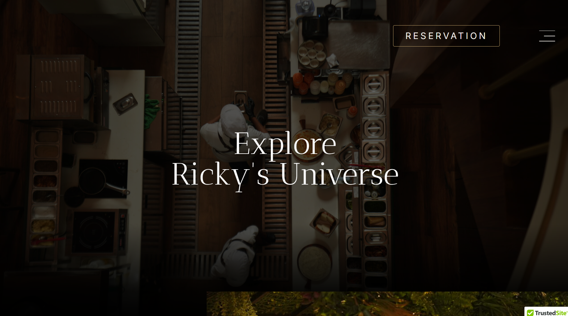 Rickys Universe Website Preview